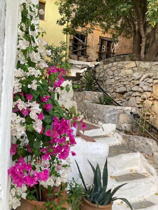 Maison Avec Terrasses Et Vues Symi Exterior photo